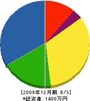 大和造園 貸借対照表 2009年12月期