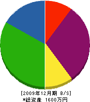 渡辺組 貸借対照表 2009年12月期
