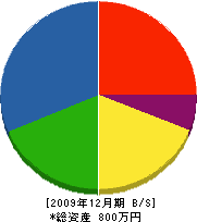 中村設備工業 貸借対照表 2009年12月期