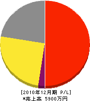 豊川鉄工 損益計算書 2010年12月期
