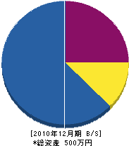 赤阪水道店 貸借対照表 2010年12月期