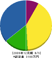 松浦装務店 貸借対照表 2009年12月期
