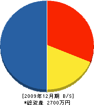 岡野開発 貸借対照表 2009年12月期