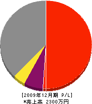 沖田電設 損益計算書 2009年12月期