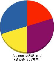 ヤナセ電機 貸借対照表 2010年12月期
