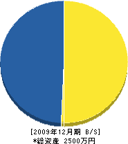島田組 貸借対照表 2009年12月期