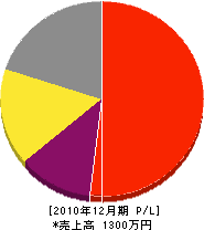 森田緑園 損益計算書 2010年12月期