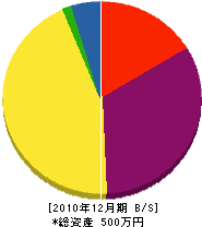遠藤建設 貸借対照表 2010年12月期