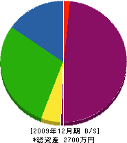 龍生造園 貸借対照表 2009年12月期