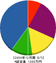 藤野水道 貸借対照表 2009年12月期