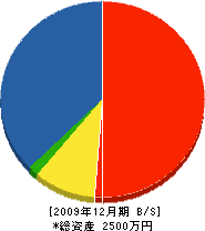 新田建設 貸借対照表 2009年12月期