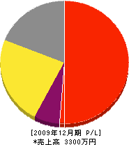 沢田設備 損益計算書 2009年12月期