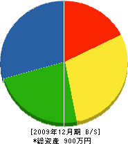 山崎造園 貸借対照表 2009年12月期