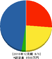 綾部建設 貸借対照表 2010年12月期