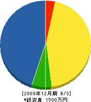 ＮＫコ－ポレ－ション 貸借対照表 2009年12月期