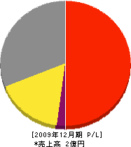 田中勝庭園 損益計算書 2009年12月期
