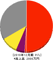 橋本組 損益計算書 2010年12月期
