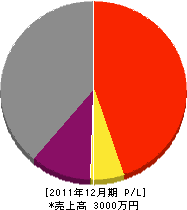 鎌田工業 損益計算書 2011年12月期