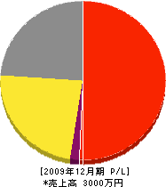 中和造園 損益計算書 2009年12月期