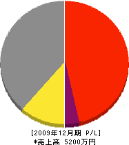 中里建業 損益計算書 2009年12月期