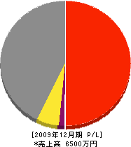 宮本組 損益計算書 2009年12月期