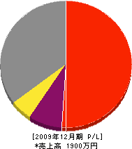 袋田水道 損益計算書 2009年12月期