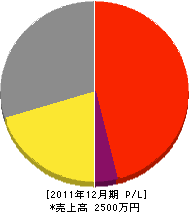 渡辺電気商会 損益計算書 2011年12月期
