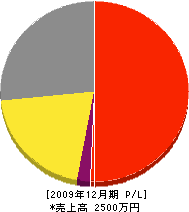 渡辺電気商会 損益計算書 2009年12月期