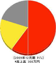 武川電気商会 損益計算書 2009年12月期