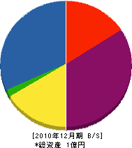 石川建築 貸借対照表 2010年12月期