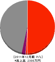 知念電工 損益計算書 2011年12月期 知念電工 損益計算書 2011年12月期