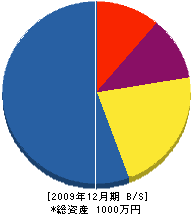 峰土建 貸借対照表 2009年12月期