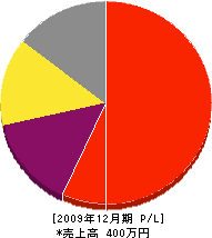 武田設業 損益計算書 2009年12月期