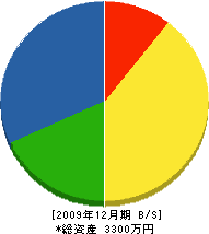 戸浦電機 貸借対照表 2009年12月期