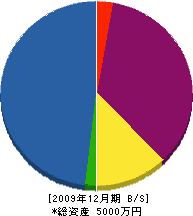 江崎建設 貸借対照表 2009年12月期