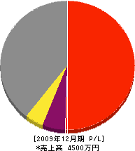 ヤマニ坂本商店 損益計算書 2009年12月期