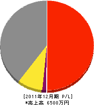 筒井鉄工所 損益計算書 2011年12月期