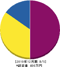 斉藤建設 貸借対照表 2010年12月期