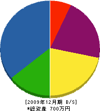 安田塗装店 貸借対照表 2009年12月期