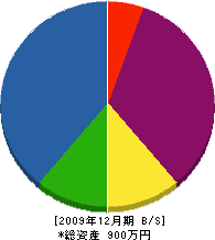 德安電工 貸借対照表 2009年12月期