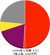 小坂造園 損益計算書 2009年12月期