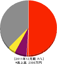 藤井建築 損益計算書 2011年12月期