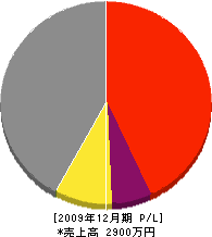 宮崎建設 損益計算書 2009年12月期
