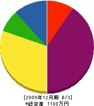 山菅組 貸借対照表 2009年12月期