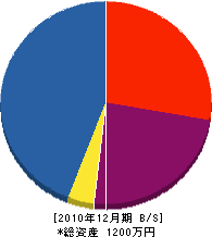 新田組 貸借対照表 2010年12月期