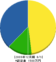 沢初造園 貸借対照表 2009年12月期