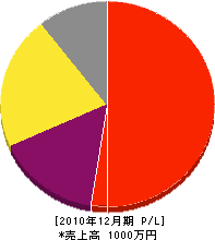 矢沢塗装 損益計算書 2010年12月期