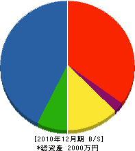 山野興業 貸借対照表 2010年12月期