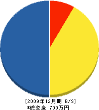 堀越工業所 貸借対照表 2009年12月期