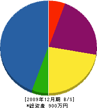 矢作園 貸借対照表 2009年12月期